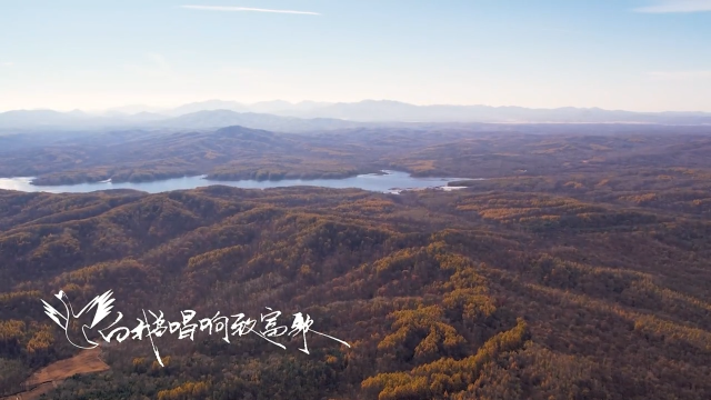 白鹅唱响致富歌