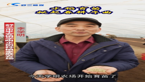 水稻育苗掀起春耕序曲