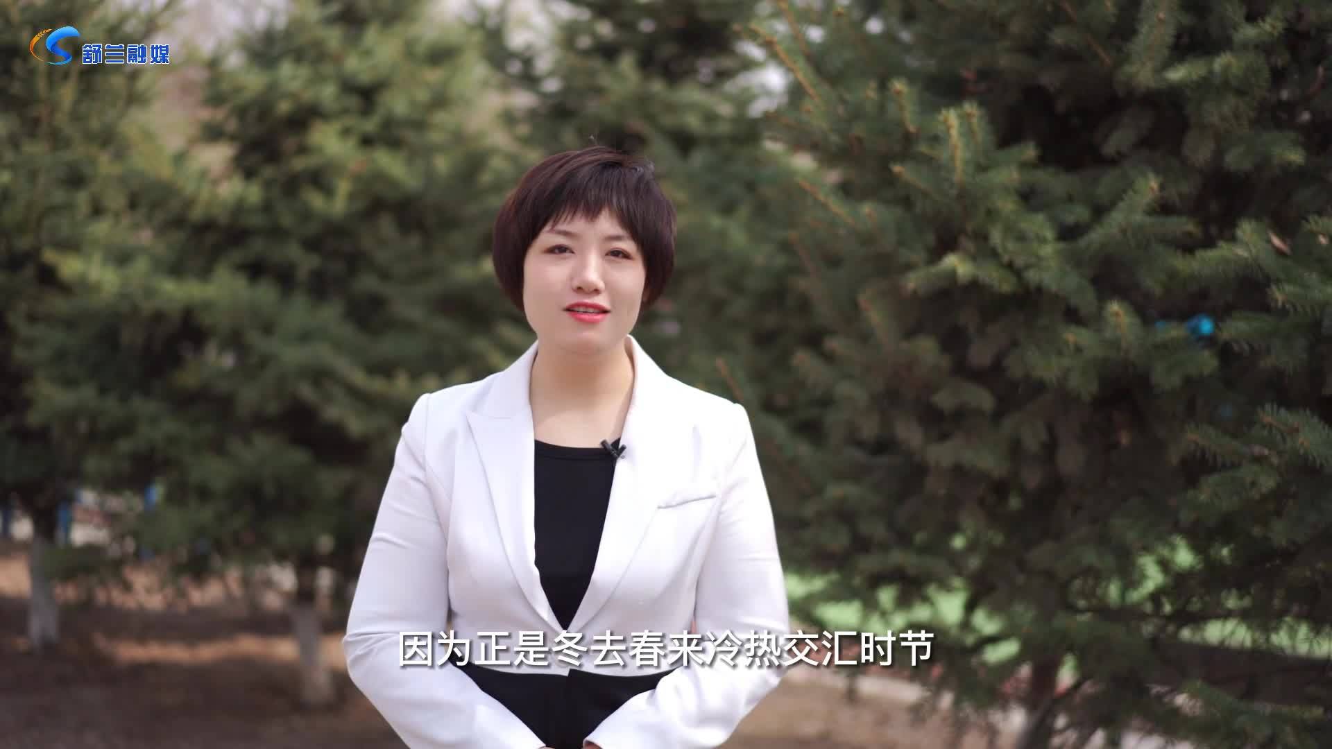 主播说：清明