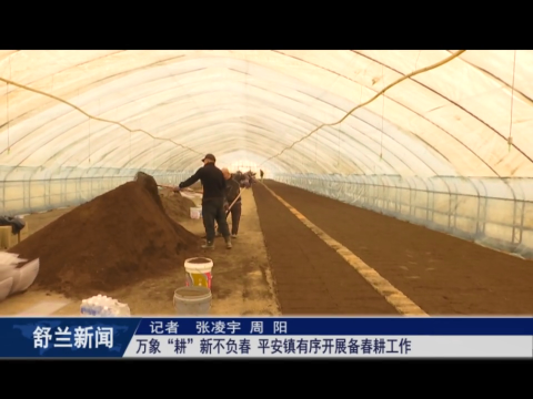 丰收有底气丨万象&ldquo;耕&rdquo;新不负春 ​舒兰市平安镇有序开展备春耕工作