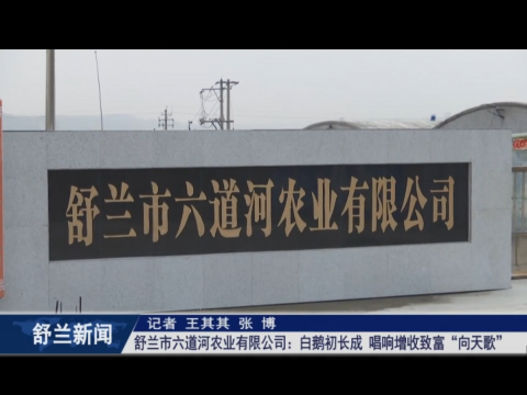 白鹅振翅 产业振兴丨舒兰市六道河农业有限公司：白鹅初长成 唱响增收致富&ldquo;向天歌&rdquo;