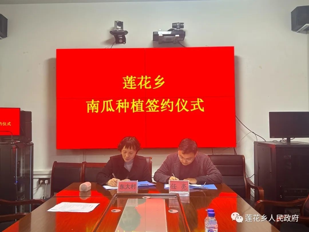 舒兰市莲花乡发展南瓜种植产业 提升农业品牌价值