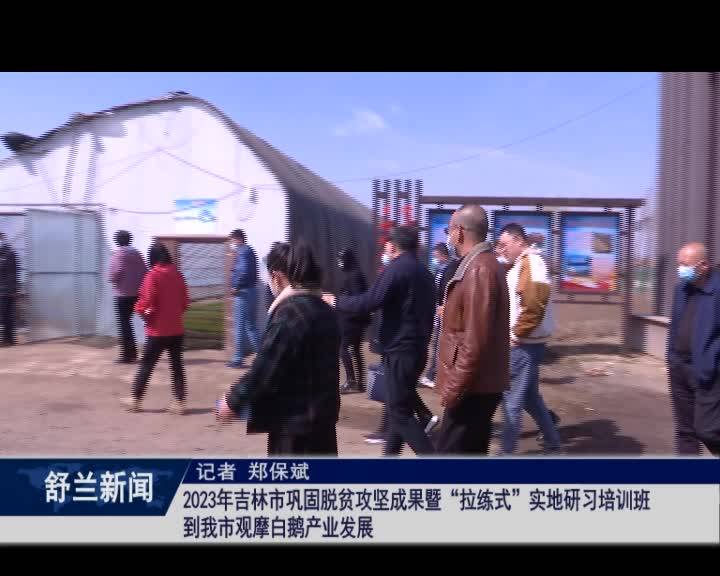 白鹅振翅 产业振兴丨2023年吉林市巩固脱贫攻坚成果暨&ldquo;拉练式&rdquo;实地研习培训班到舒兰市观摩白鹅产业发展