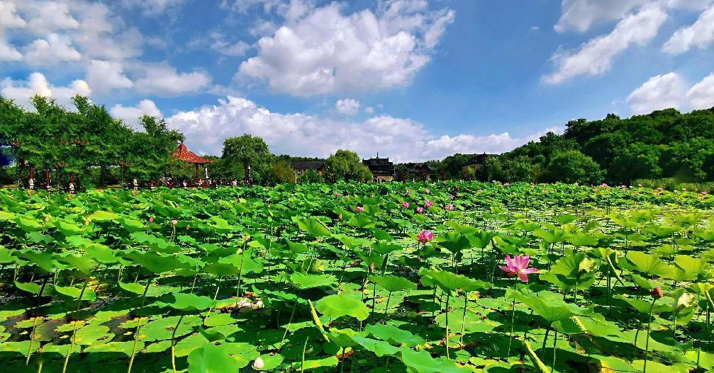 &ldquo;舒兰美食&rdquo;&ldquo;舒兰美景&rdquo;重磅发布