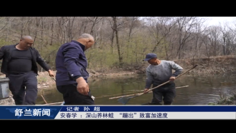 乡村振兴&middot;筑梦舒兰丨安春学 ：深山养林蛙 &ldquo;蹦出&rdquo;致富加速度