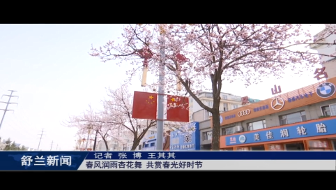 魅力舒兰丨春风润雨杏花舞 共赏春光好时节