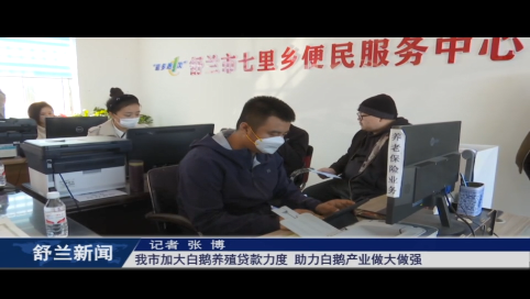 白鹅振翅 产业振兴丨舒兰市加大白鹅养殖贷款力度 助力白鹅产业做大做强