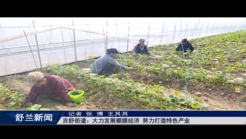 乡村振兴&middot;筑梦舒兰丨舒兰市吉舒街道：大力发展棚膜经济 努力打造特色产业