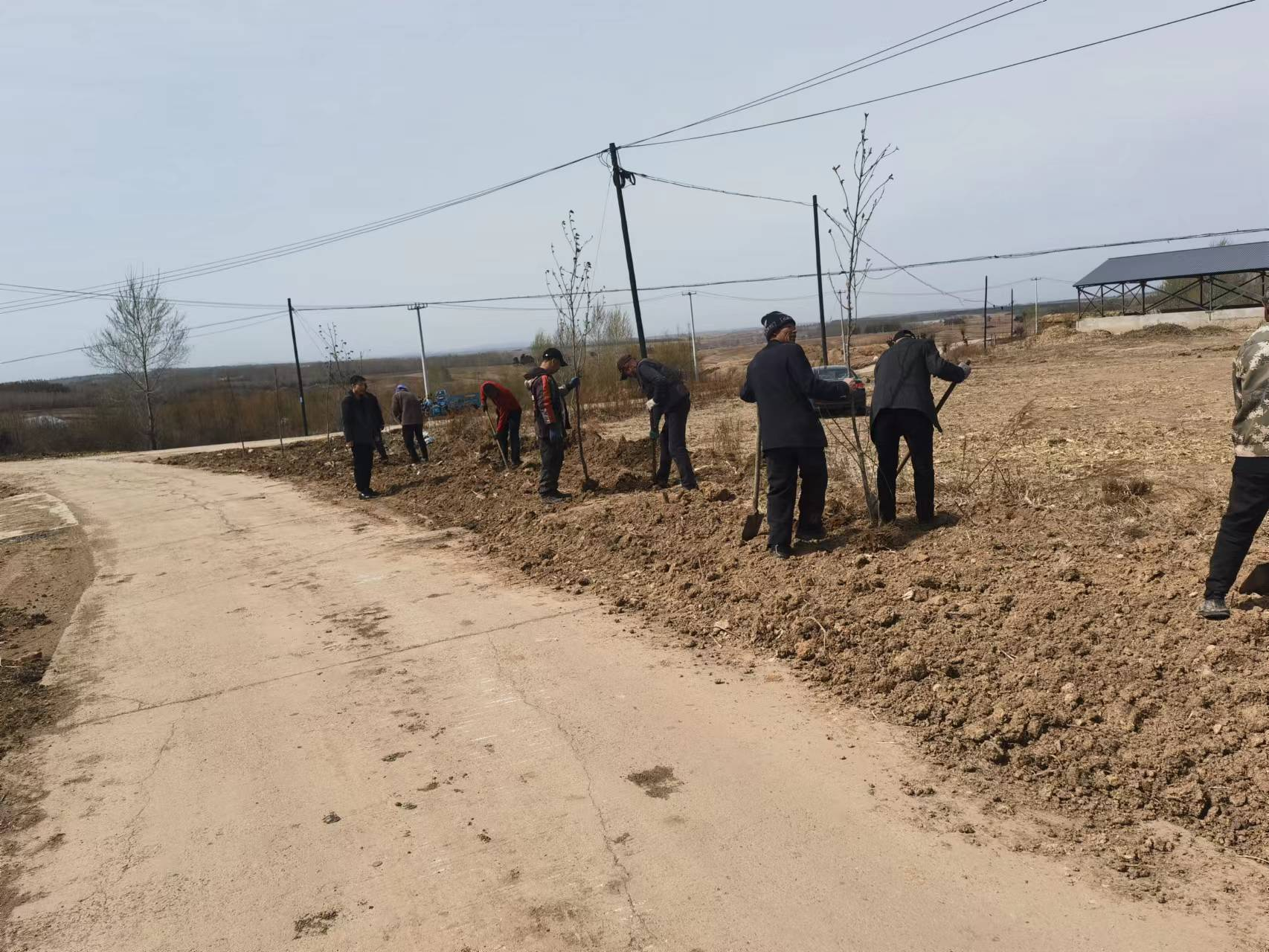 舒兰市朝阳镇：绿植添新&ldquo;衣&rdquo; 共筑环保墙