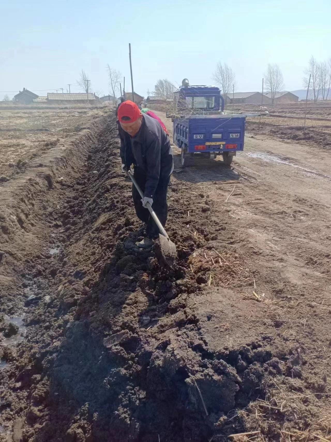舒兰市莲花乡：植树添绿正当时