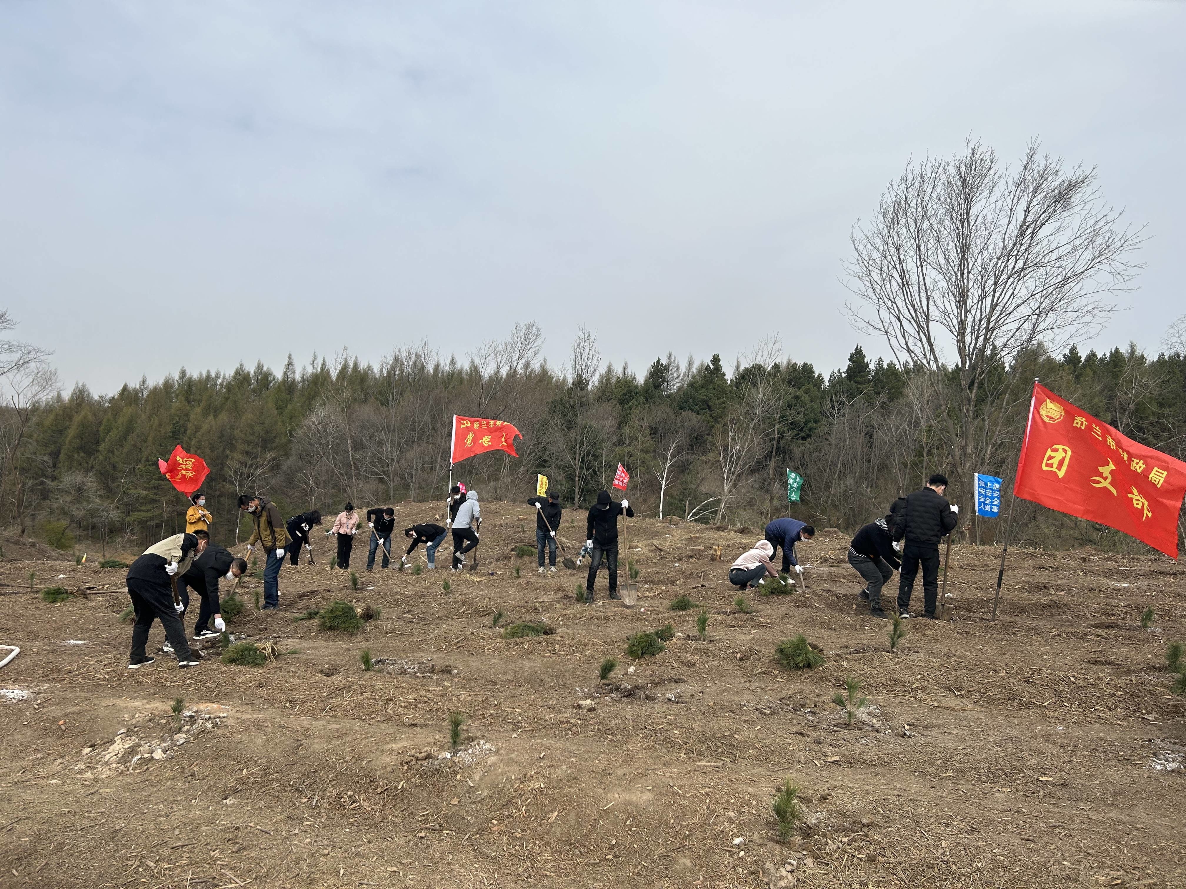 舒兰市财政局开展&ldquo;青春心向党 共植同心树&rdquo;五四青年节植树活动