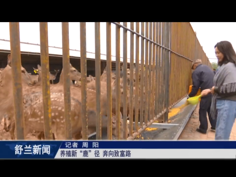 乡村振兴&middot;筑梦舒兰丨养殖新&ldquo;鹿&rdquo;径 奔向致富路