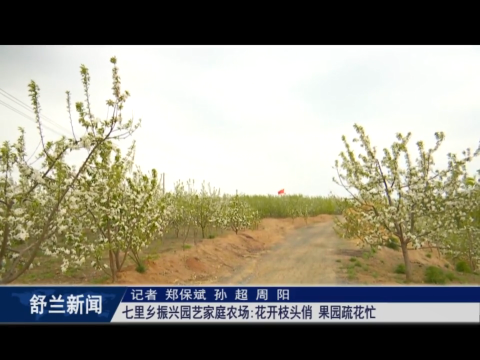 乡村振兴&middot;筑梦舒兰丨舒兰市七里乡振兴园艺家庭农场：花开枝头俏 果园疏花忙