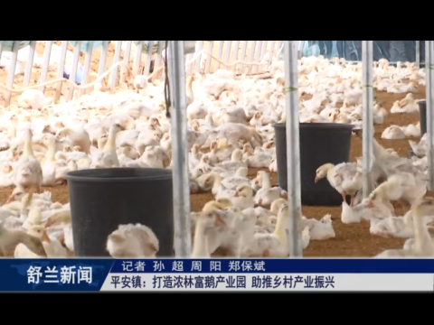 乡村振兴&middot;筑梦舒兰丨舒兰市平安镇：打造浓林富鹅产业园 助推乡村产业振兴