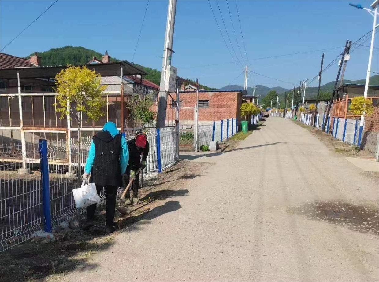 人居环境整治丨舒兰市上营镇开展&ldquo;我为家乡添色彩&rdquo;花卉种植活动