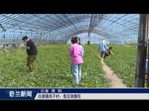 乡村振兴&middot;筑梦舒兰丨舒兰市白旗镇岗子村：香瓜销售旺