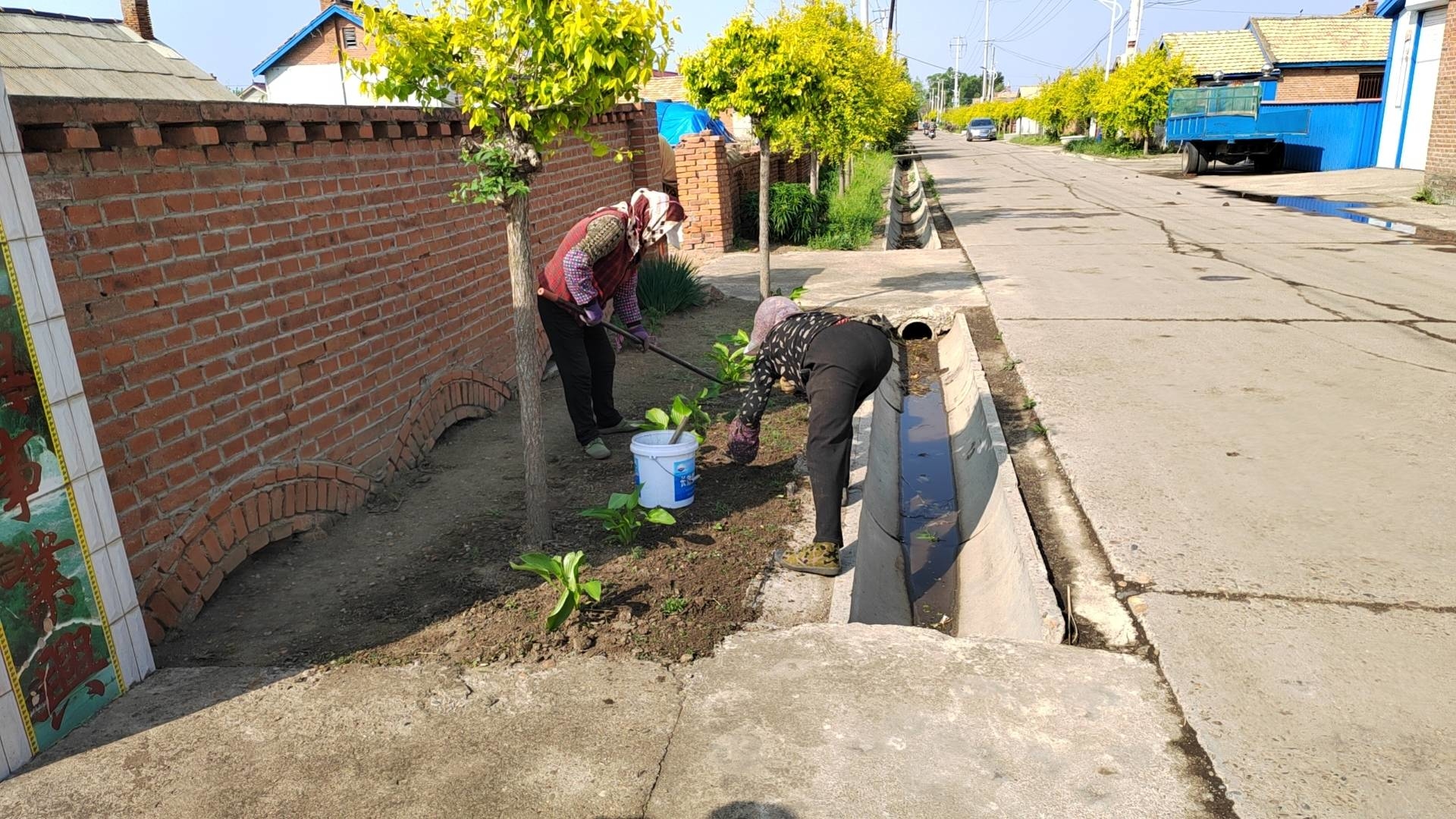 人居环境整治丨舒兰市白旗镇高标准推进村屯绿化工作
