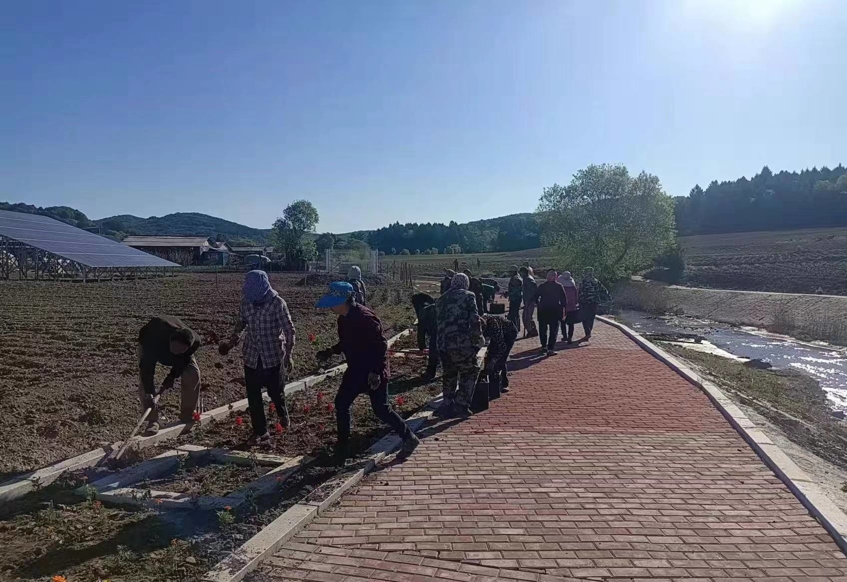 人居环境整治丨舒兰市上营镇二合村：人居环境整治扮靓乡村振兴路