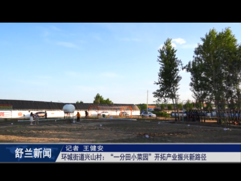 乡村振兴&middot;筑梦舒兰丨舒兰市环城街道兴山村：&ldquo;一分田小菜园&rdquo;开拓产业振兴新路径