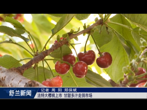乡村振兴&middot;筑梦舒兰丨舒兰市法特大樱桃上市 甘甜多汁走俏市场