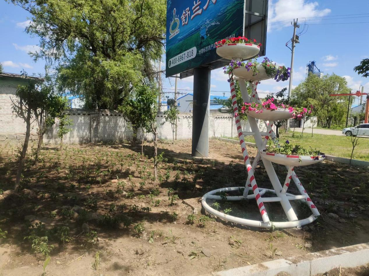 人居环境整治丨舒兰市朝阳镇扎实做好绿化美化工作