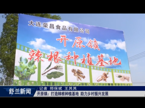 乡村振兴&middot;筑梦舒兰丨舒兰市开原镇：打造辣根种植基地 助力乡村振兴发展
