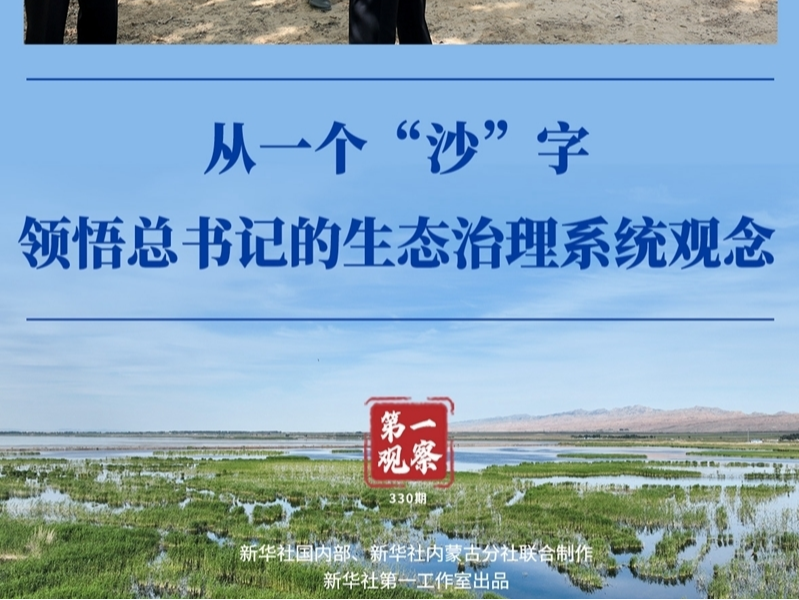 第一观察丨从一个“沙”字，领悟总书记的生态治理系统观念