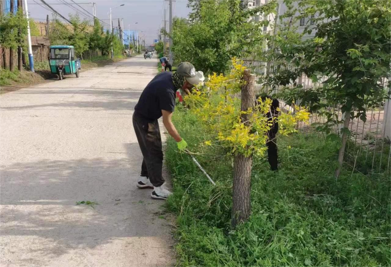 人居环境整治丨舒兰市平安镇持续推进人居环境整治走向深入