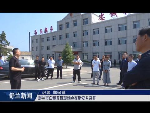 白鹅振翅 产业振兴丨舒兰市白鹅养殖现场会在新安乡召开