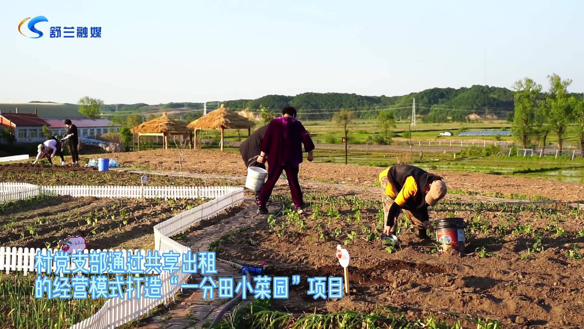 舒兰市环城街道兴山村因地制宜打造“一分田小菜园”