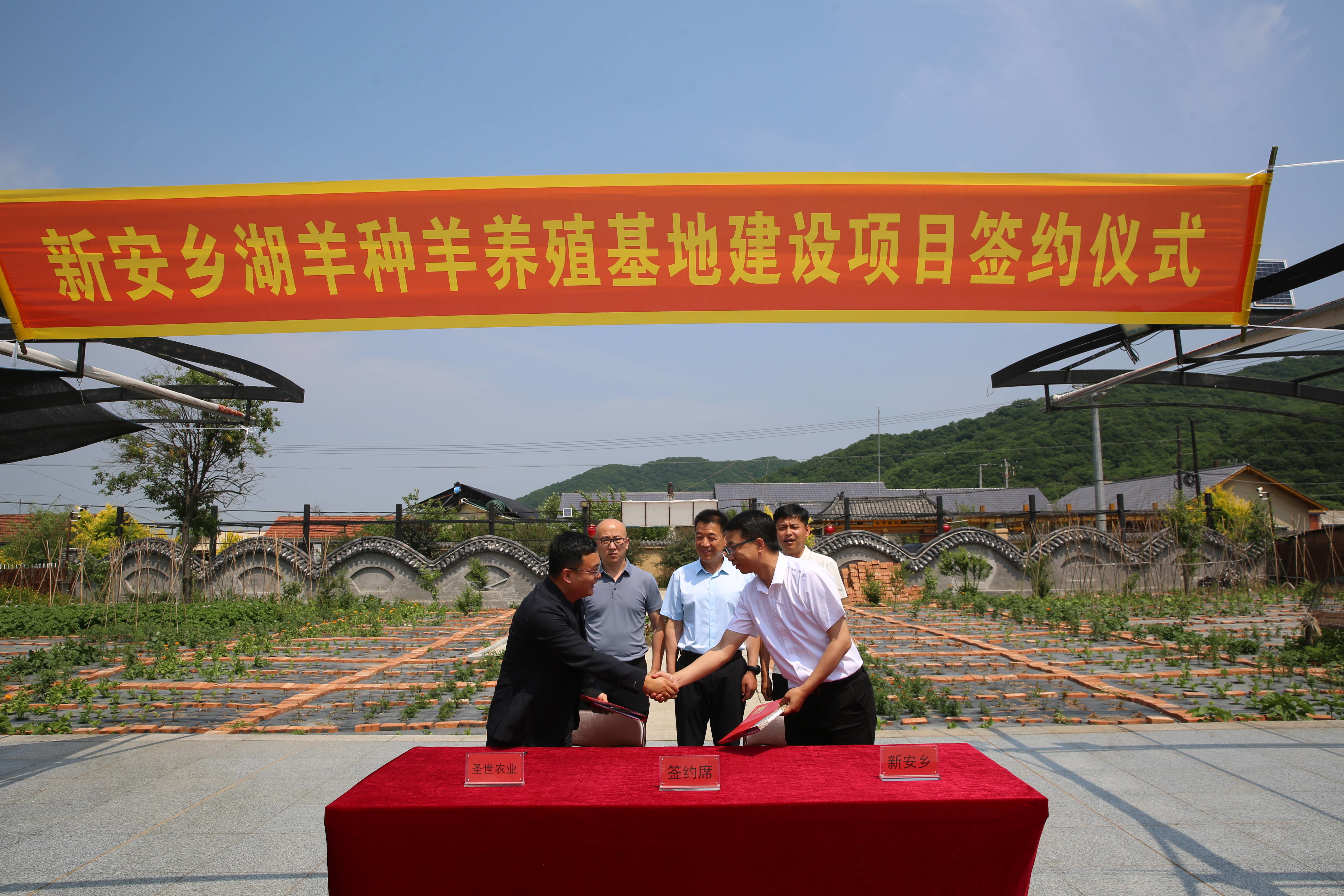 舒兰市新安乡湖羊种羊养殖基地建设项目签约并开工