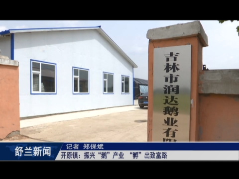 乡村振兴&middot;筑梦舒兰丨舒兰市开原镇：振兴&ldquo;鹅&rdquo;产业 &ldquo;孵&rdquo;出致富路