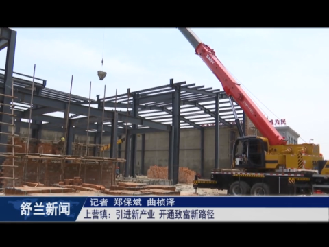 乡村振兴&middot;筑梦舒兰丨舒兰市上营镇：引进新产业 开通致富新路径