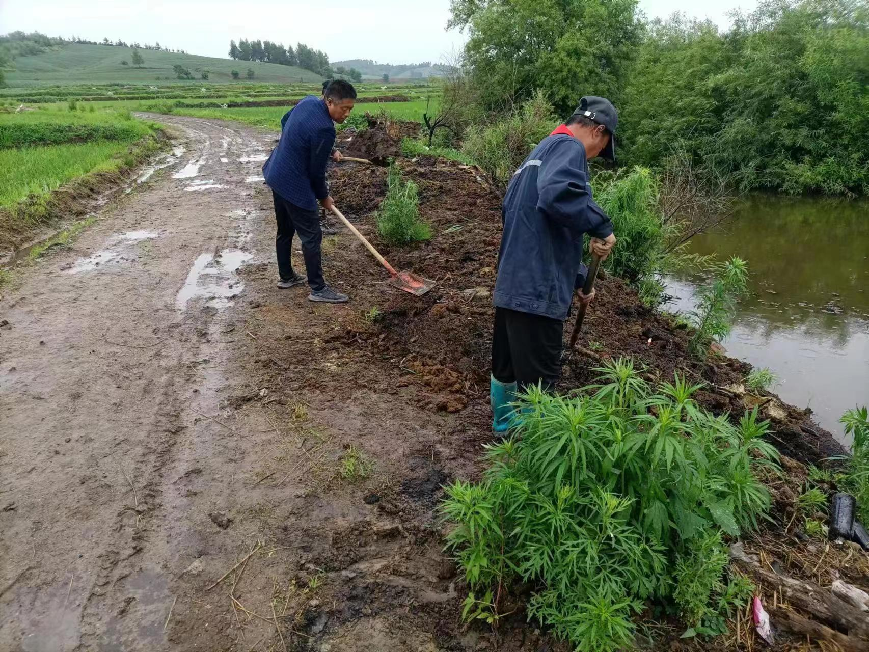 人居环境整治丨舒兰市环城街道开展清理河道工作