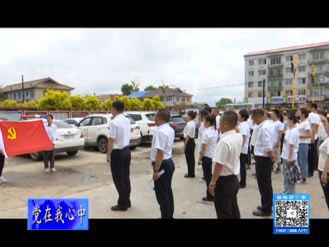 党在我心中丨舒兰市平安镇开展&ldquo;庆七一+环境整治&rdquo;主题党日活动