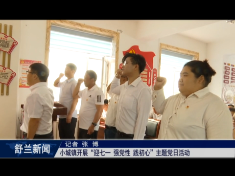 党在我心中丨舒兰市小城镇开展&ldquo;迎七一 强党性 践初心&rdquo;主题党日活动