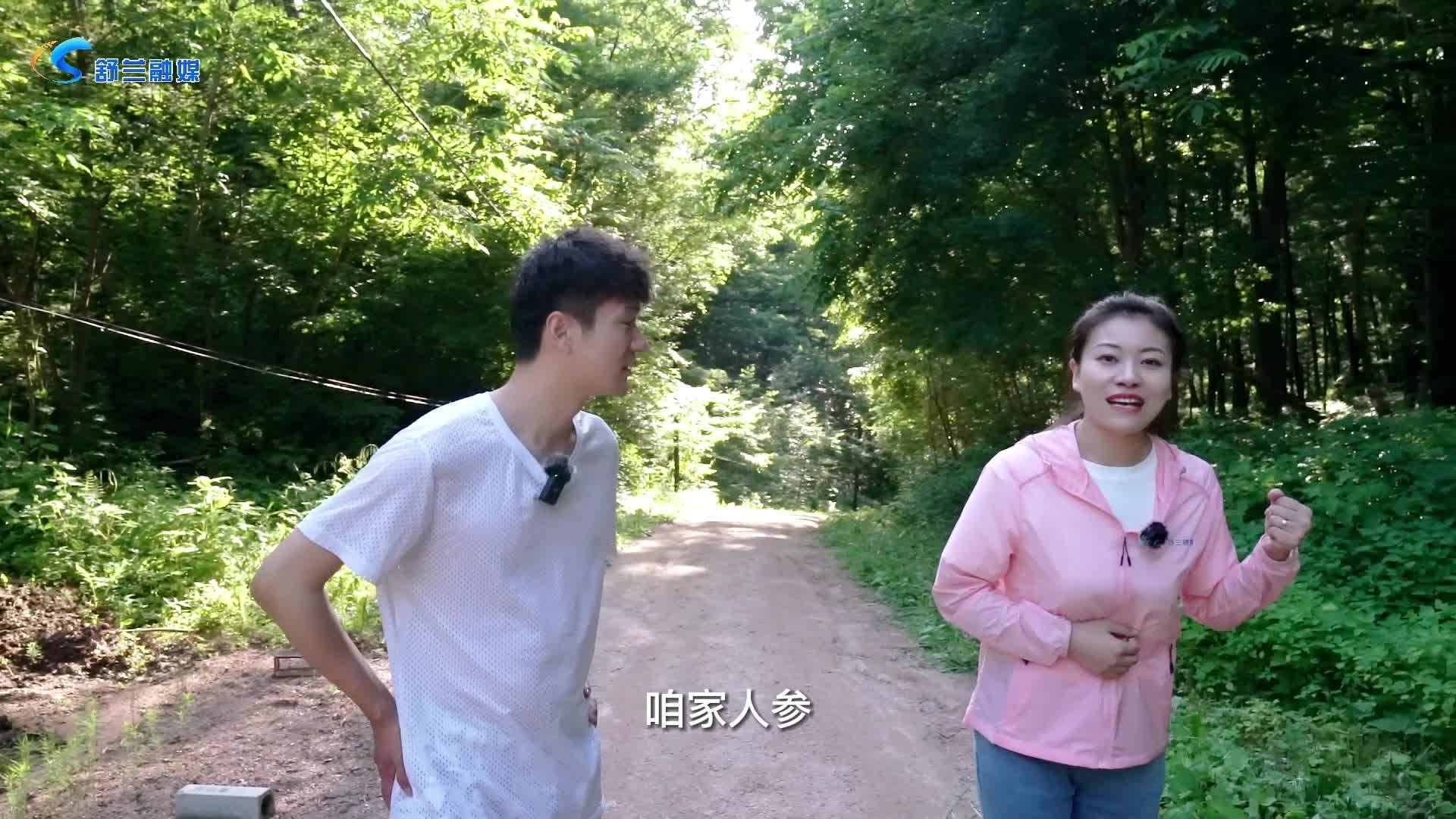 主播说项目 | 吉林世一参业