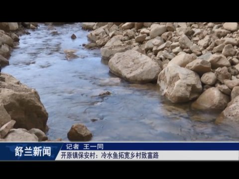 乡村振兴&middot;筑梦舒兰丨舒兰市开原镇保安村：冷水鱼拓宽乡村致富路