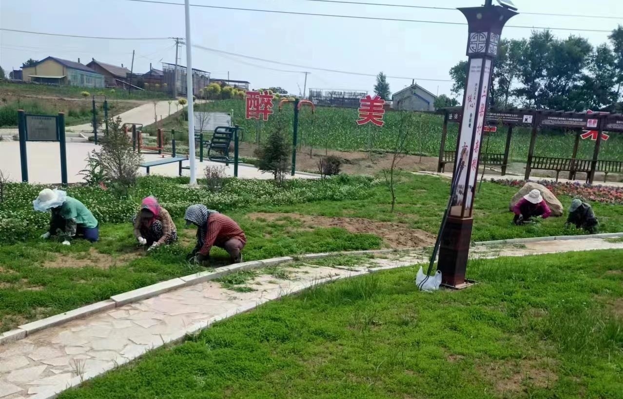 创城进行时丨舒兰：文明始于心 创城践于行