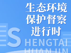 生态环境保护督察进行时丨舒兰市政协主席程仁才现场督导生态环境保护督察反馈问题整改工作