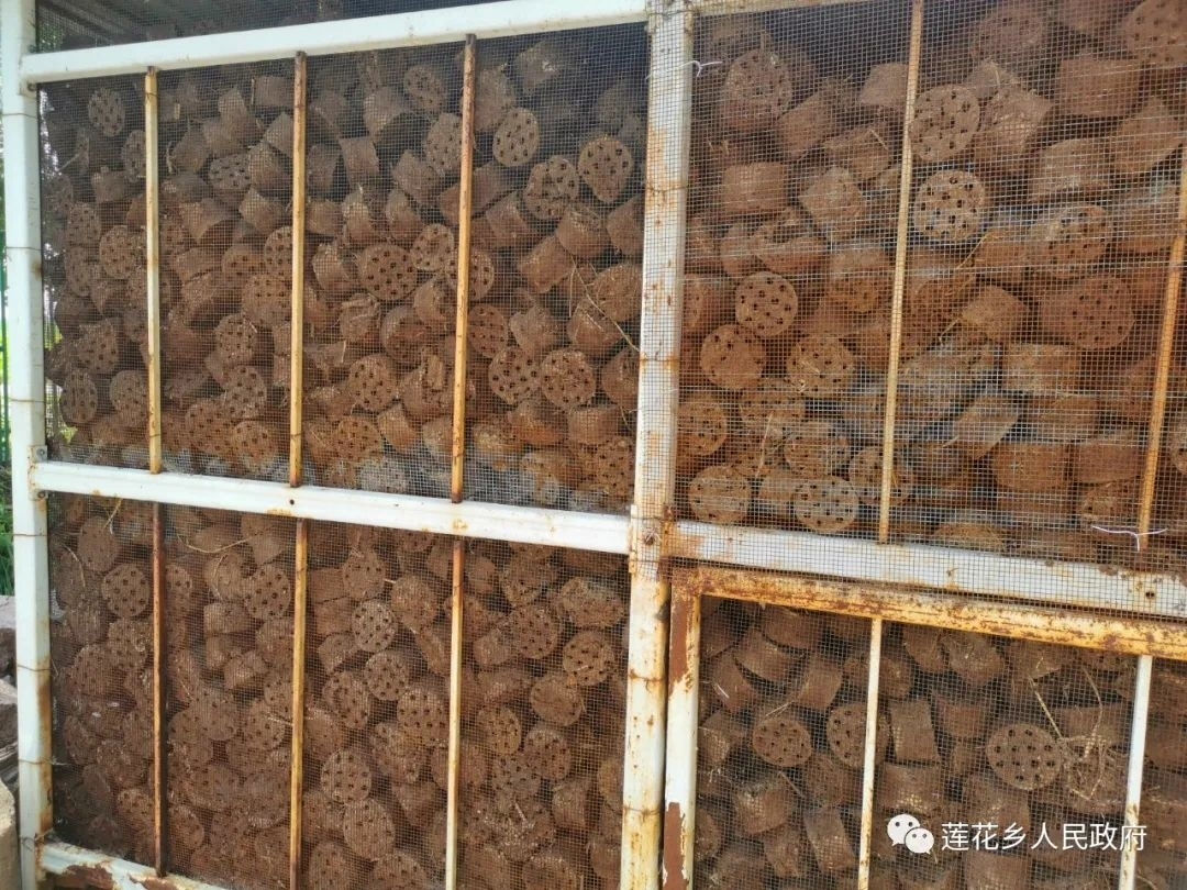 人居环境整治丨舒兰市莲花乡粪污利用出新招