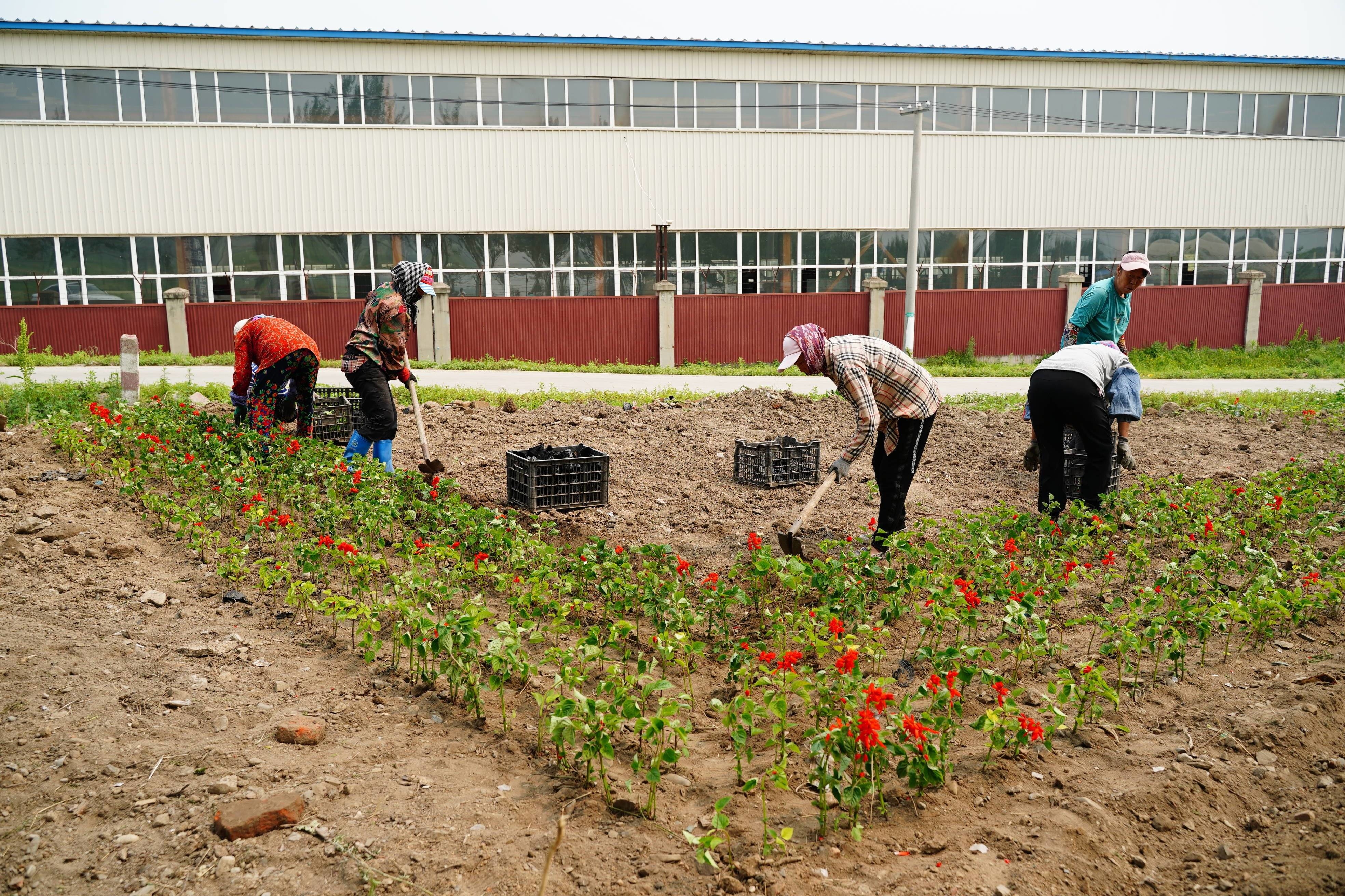 人居环境整治丨舒兰市环城街道群岭村：&ldquo;小家美&rdquo;带动&ldquo;乡村美&rdquo;