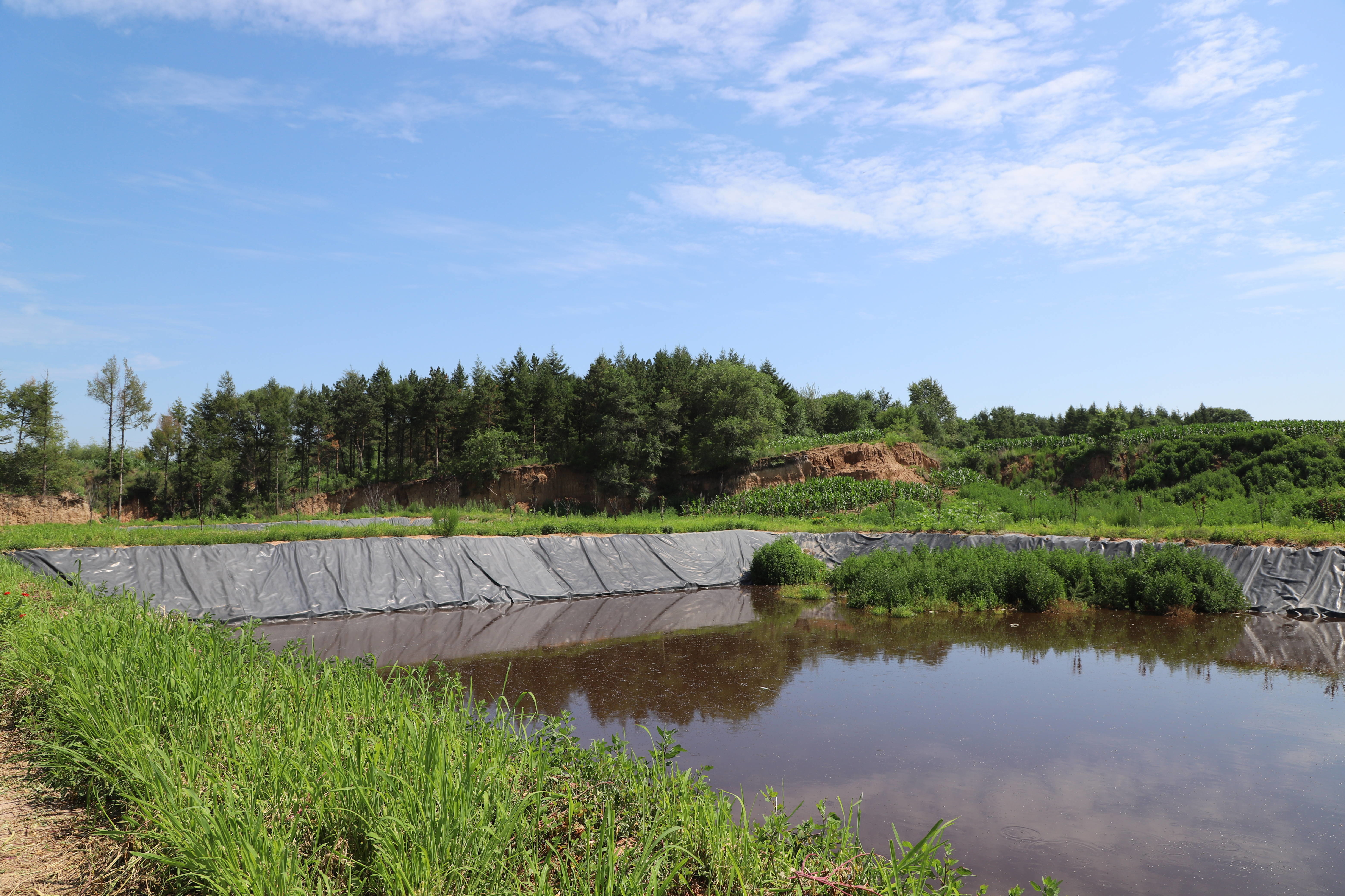 乡村振兴&middot;筑梦舒兰丨畜禽粪污&ldquo;变废为宝&rdquo; 助力农业绿色循环发展