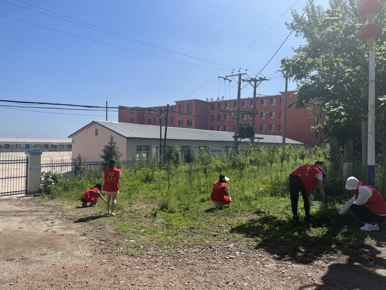 爱国卫生运动丨舒兰市亮甲山乡：清理路边杂草 净化卫生环境