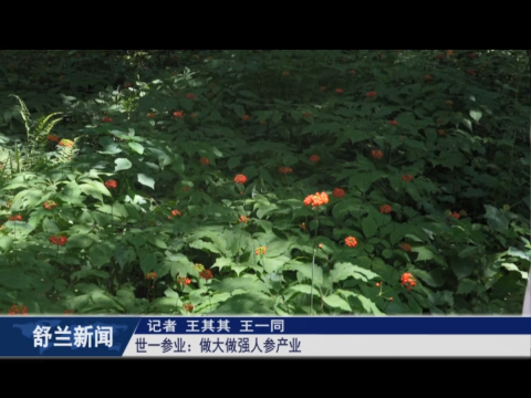 乡村振兴&middot;筑梦舒兰丨世一参业：做大做强人参产业