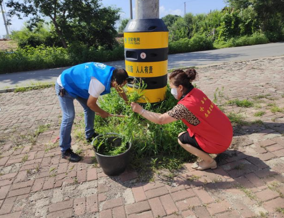 爱国卫生运动丨舒兰市吉舒街道开展&ldquo;美化环境 建设文明街区&rdquo;主题活动