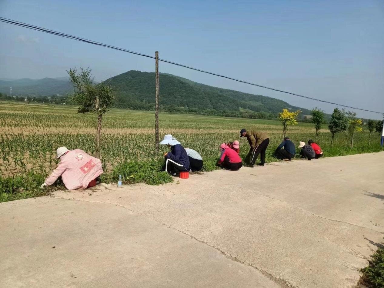 人居环境整治丨舒兰市上营镇牛头村：展巾帼风采 建和美家园