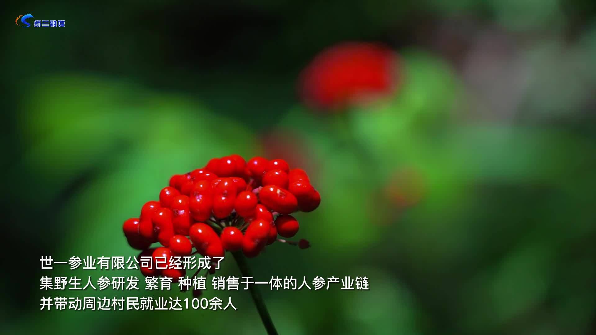 山间花海