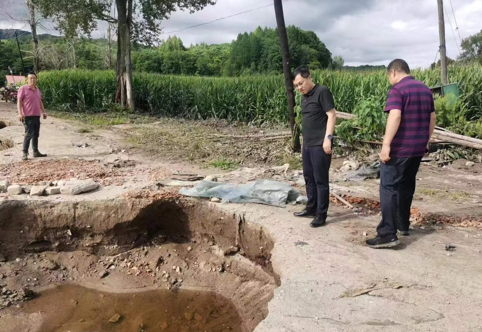 市林业局驰援舒兰灾后重建