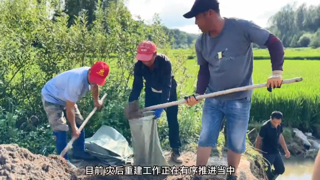 争分夺秒 抢修桥涵